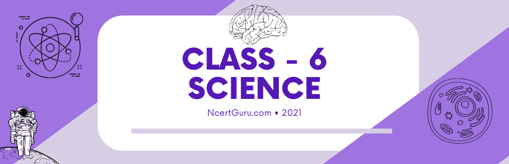 Ncert Solution for Class 6 science