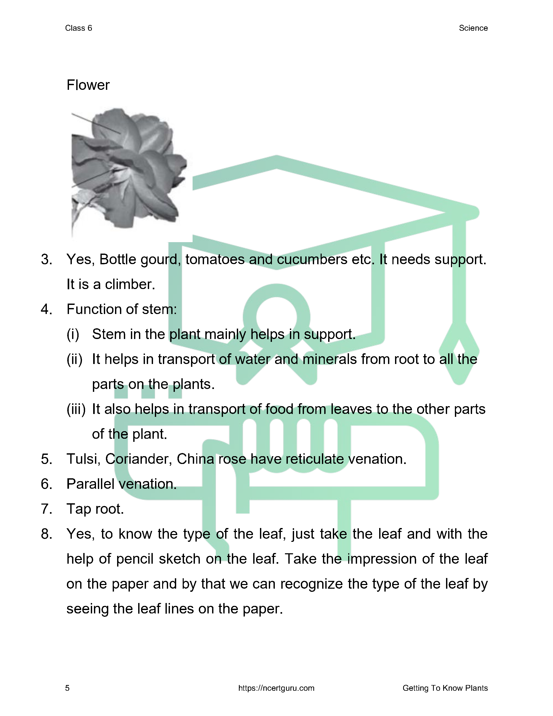NCERT Solutions for Class 6 science Chapter 7